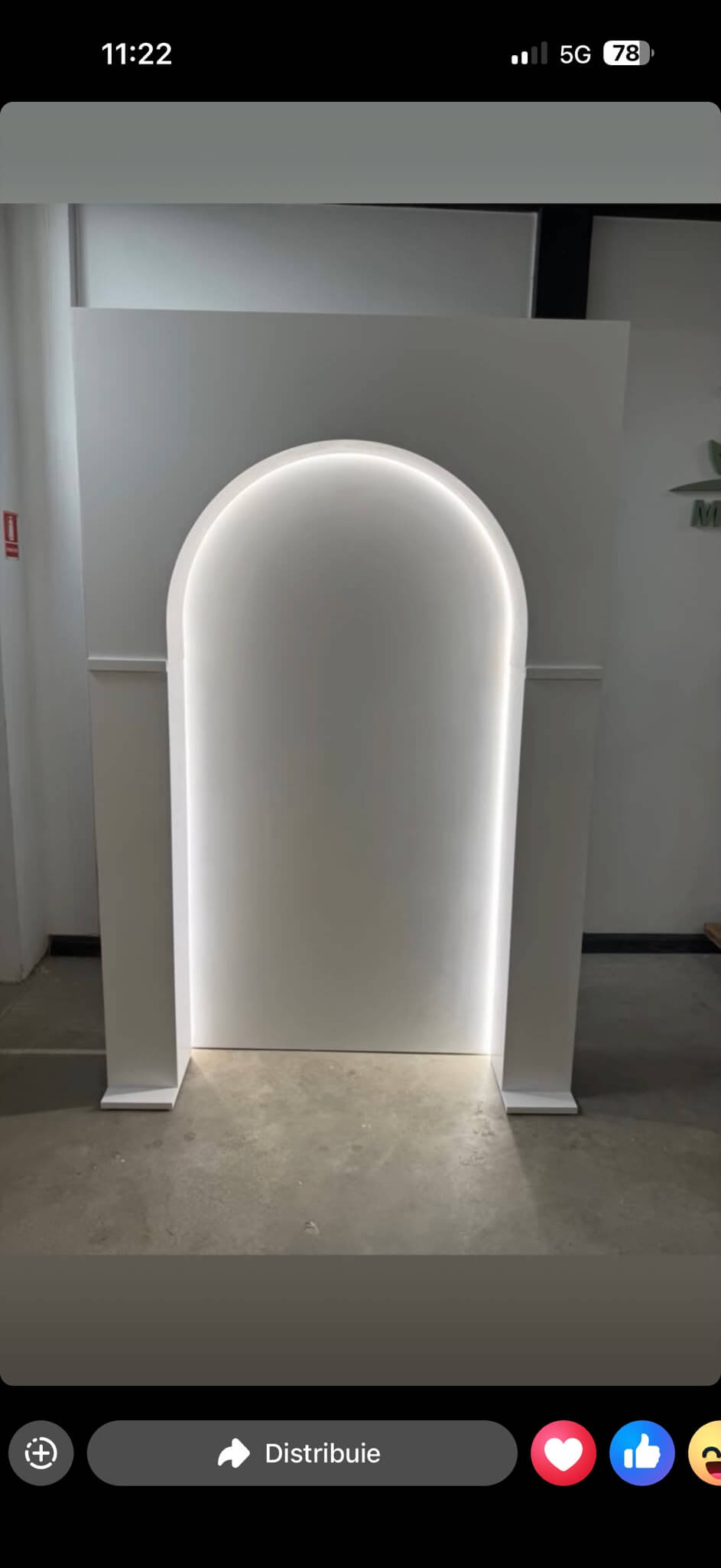 Arcada forex cu elemente 3 D+panou adiacent+led