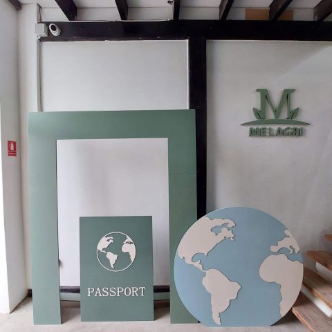 Ansamblu Pasaport+Globul Pamantesc